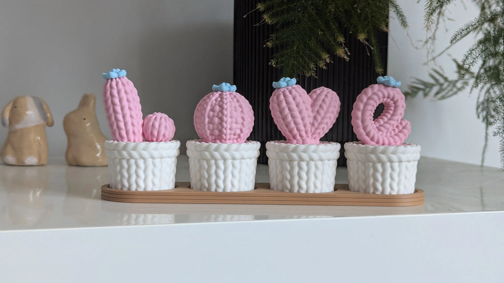 Crochet-Style Cactus Decor Set
