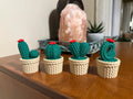Crochet-Style Cactus Decor Set